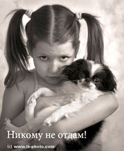 Канистерапия